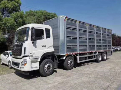 咸宁猪仔运输车的选择与使用指南