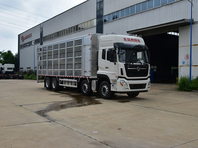 全铝合金运猪车465马力畜禽运猪车 助力规模化养殖的高效选择